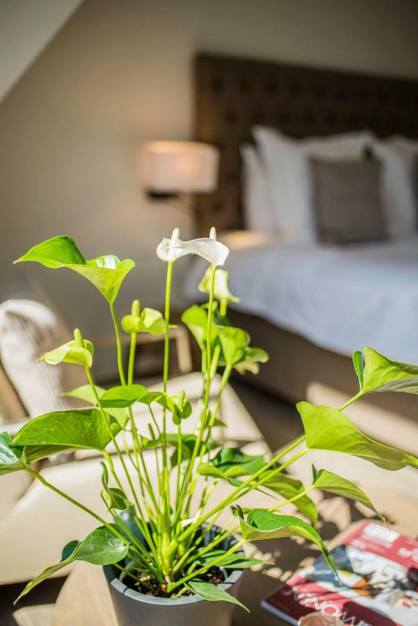 Aquarand Bed & Breakfast Hofstade  Luaran gambar